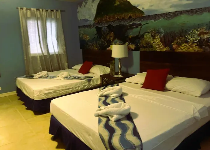 Bed & Breakfast And Dive *