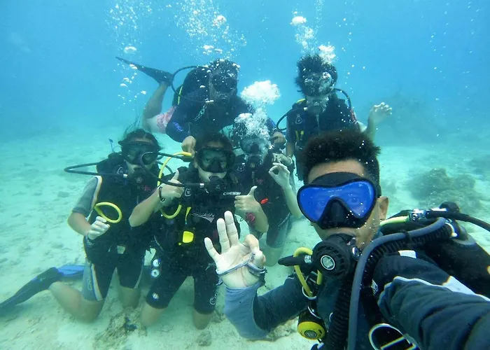 Bed & Breakfast And Dive *
