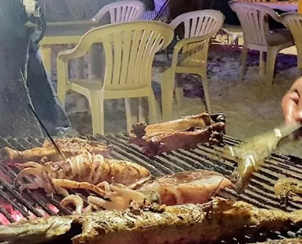 Bed & Breakfast And Dive *